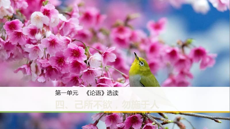 2018-2019學(xué)年高中語(yǔ)文第一單元四己所不欲勿施于人課件新人教版選修先秦諸子蚜.ppt_第1頁(yè)