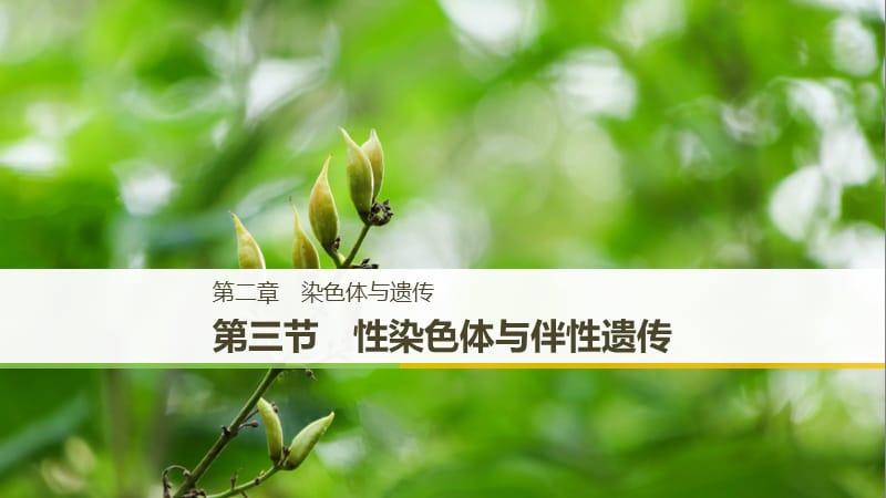 2018-2019學(xué)年高中生物 第二章 染色體與遺傳 第三節(jié) 性染色體與伴性遺傳課件 浙科版必修2.ppt_第1頁(yè)