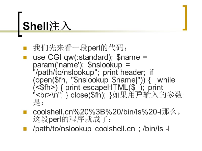 《程序代码注入》PPT课件.ppt_第2页