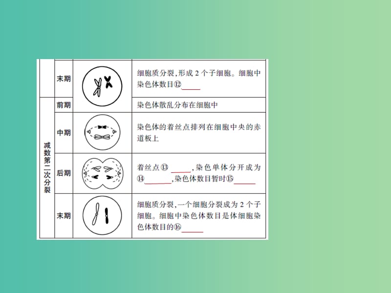 2019届高考生物二轮复习 专题9 遗传的细胞基础课件.ppt_第3页