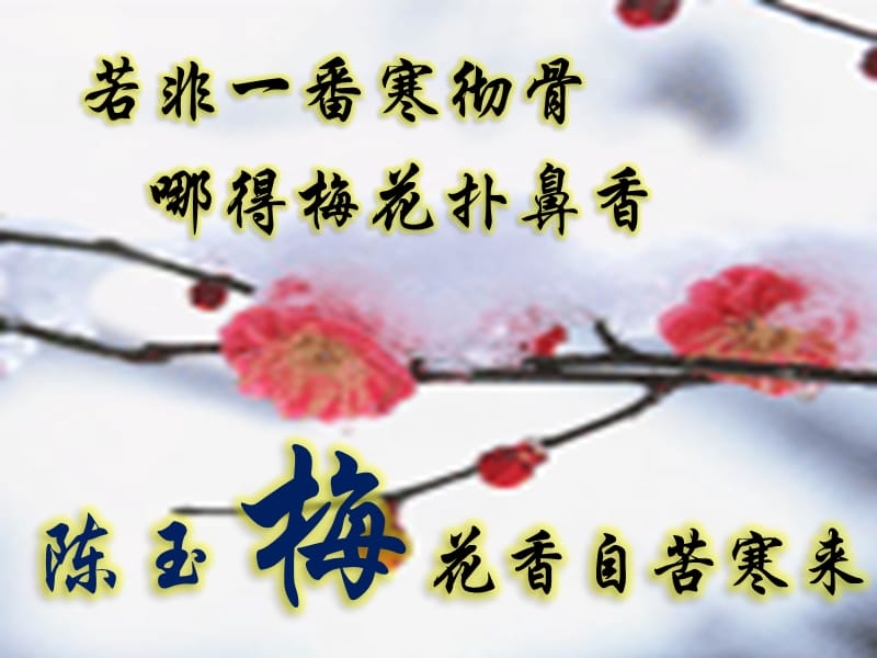 一分钟自我介绍-示范版.ppt_第1页