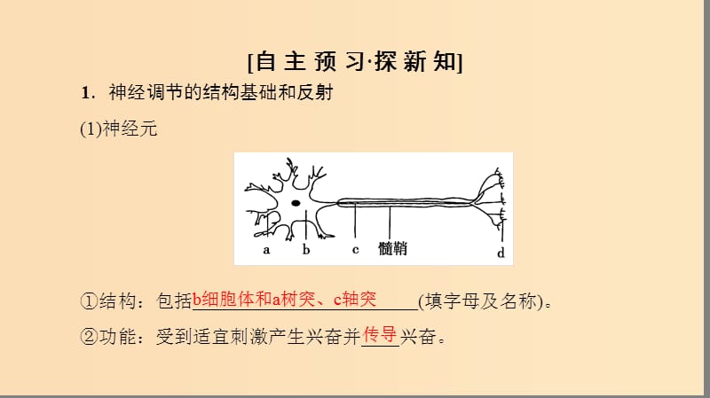 2018秋高中生物 第二章 动物和人体生命活动的调节 第1节 通过神经系统的调节（一）课件 新人教版必修3.ppt_第3页