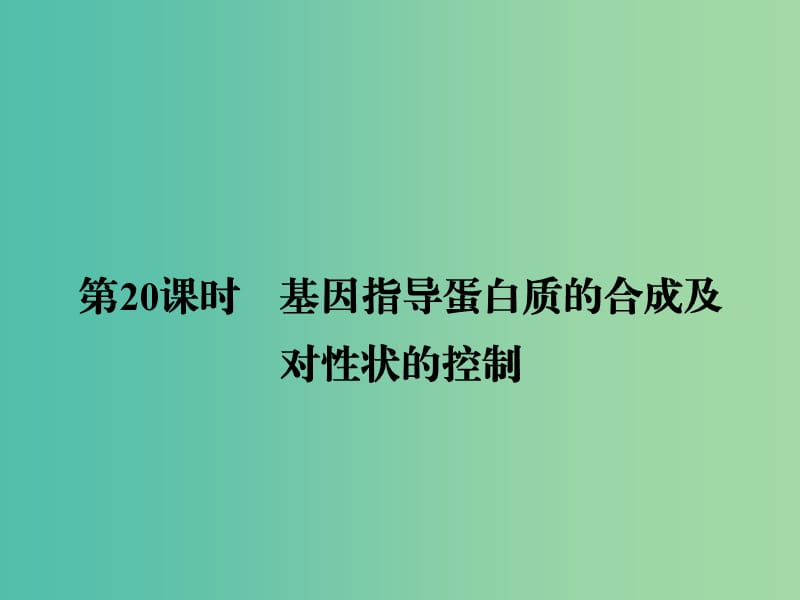 高考生物一轮复习 6.20基因指导蛋白质的合成及对性状的控制课件.ppt_第2页