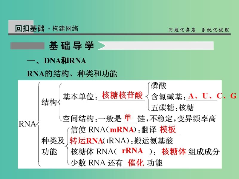 高考生物一轮复习 6.20基因指导蛋白质的合成及对性状的控制课件.ppt_第3页