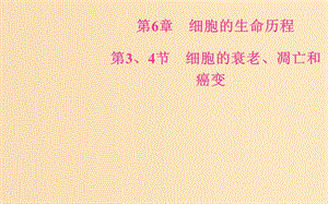 2018秋高中生物 第六章 細(xì)胞的生命歷程 第3、4節(jié) 細(xì)胞的衰老、凋亡和癌變課件 新人教版必修1.ppt