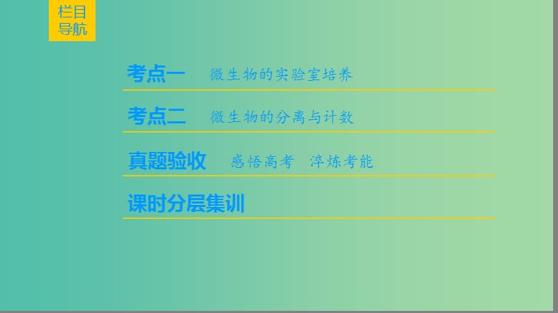 高考生物一轮复习生物技术实践第2讲微生物的培养与应用课件.ppt_第2页