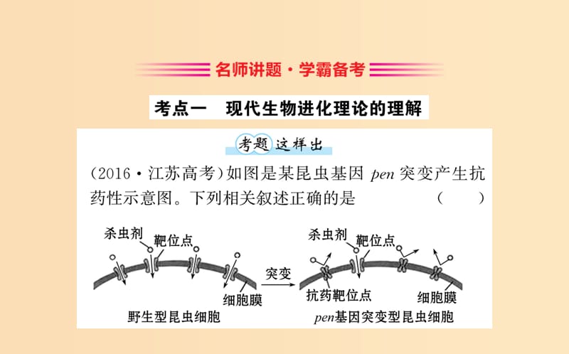 2018-2019学年高中生物7单元归纳提升课第七章现代生物进化理论课件新人教版必修2 .ppt_第3页