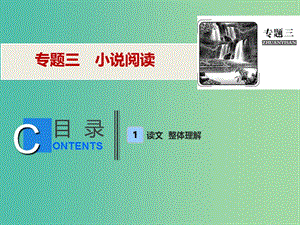 2019年高考語文高分技巧二輪復(fù)習(xí) 專題三 小說閱讀課件.ppt