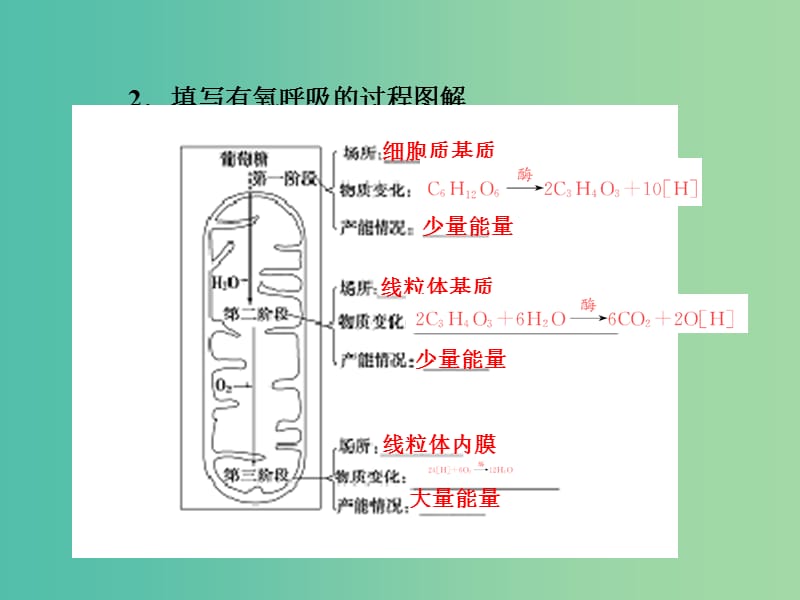 高考生物一轮总复习 第三单元 第二讲 ATP的主要来源-细胞呼吸课件.ppt_第3页