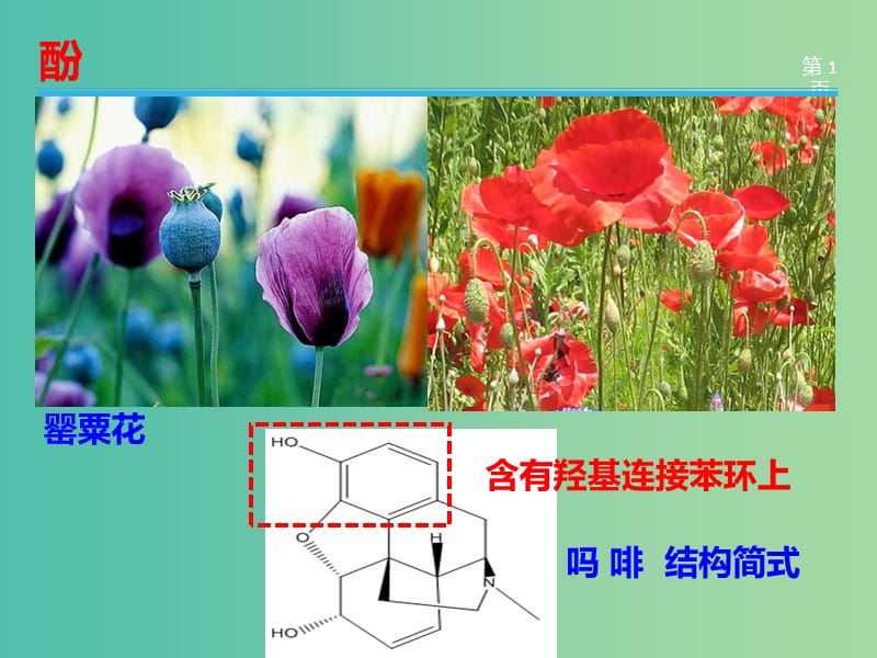 湖南省茶陵縣高中化學 第三章 烴的含氧衍生物 3.1 醇酚 3.1.2 酚課件 新人教版選修5.ppt_第1頁