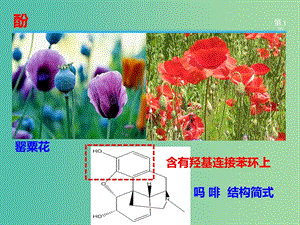 湖南省茶陵縣高中化學 第三章 烴的含氧衍生物 3.1 醇酚 3.1.2 酚課件 新人教版選修5.ppt