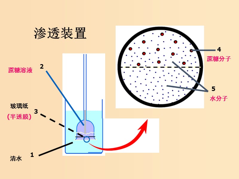 2018-2019高中生物 专题4.1 物质的跨膜运输课件 新人教版必修1.ppt_第1页