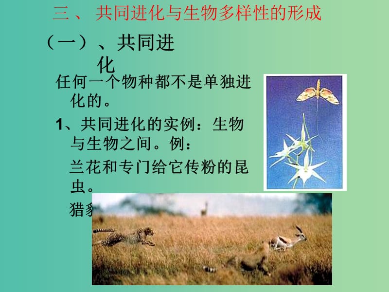 湖南省茶陵县高中生物 第七章 现代生物进化理论 7.2 现代生物进化理论主要内容 第3课时课件 新人教版必修2.ppt_第2页