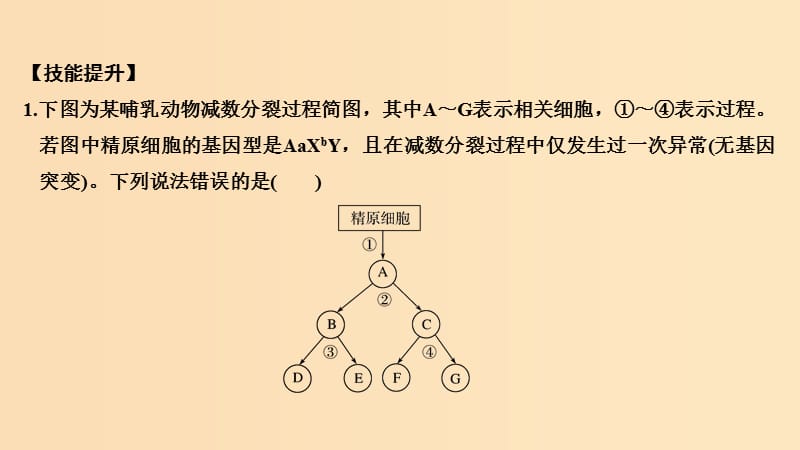 2019版高考生物总复习 第二部分 选择题必考五大专题 专题二 细胞的增殖与分化 重点题型2 根据配子类型判断变异来源课件.ppt_第3页