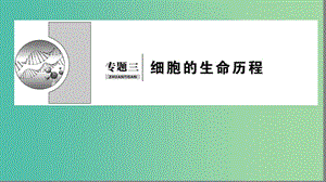 2019屆高考生物二輪復(fù)習(xí) 專(zhuān)題3 細(xì)胞的生命歷程課件.ppt