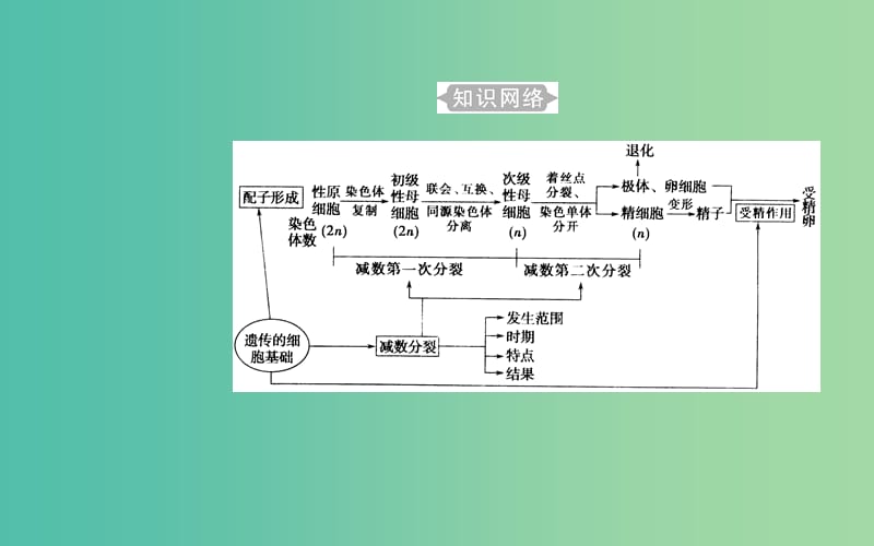 2019高中生物学业水平复习 专题六 遗传的细胞基础 考点1 细胞的减数分裂和配子的形成过程课件.ppt_第2页