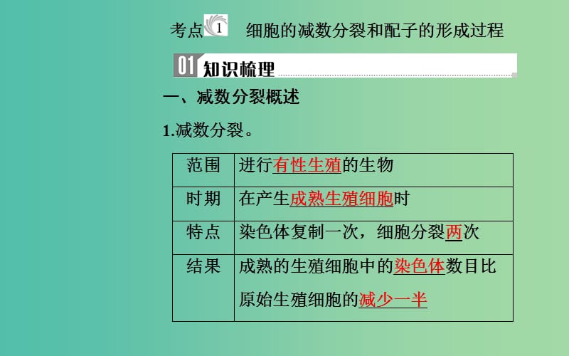 2019高中生物学业水平复习 专题六 遗传的细胞基础 考点1 细胞的减数分裂和配子的形成过程课件.ppt_第3页