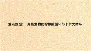 2019版高考生物總復習 第一部分 非選擇題必考五大專題 專題一 細胞的代謝 重點題型1 真核生物的檸檬酸循環(huán)與卡爾文循環(huán)課件.ppt