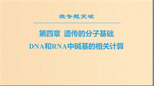 2018-2019高中生物 第4章 遺傳的分子基礎(chǔ) 微專題突破 DNA和RNA中堿基的相關(guān)計(jì)算課件 蘇教版必修2.ppt