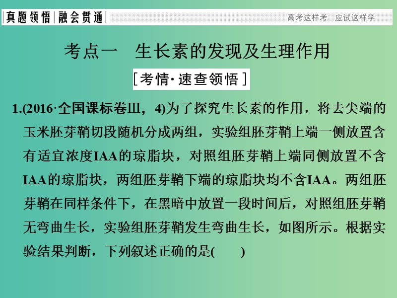 高考生物二轮复习 第五单元 个体生命的稳态基础 专题三 植物生命活动的调节课件.ppt_第3页