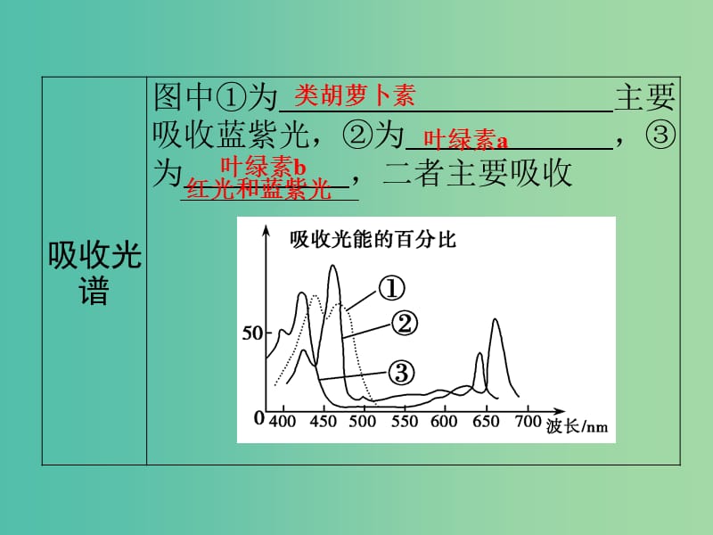 高考生物一轮复习 第三单元 细胞的能量供应和利用 第10讲 光合作用的探究历程与基本过程课件.ppt_第3页