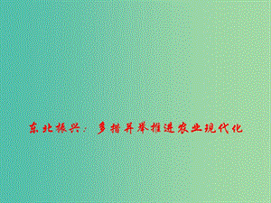 2019年高考政治總復(fù)習(xí) 時政熱點 東北振興：多措并舉推進(jìn)農(nóng)業(yè)現(xiàn)代化課件.ppt