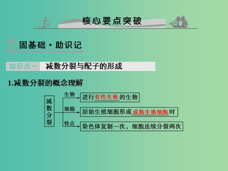 高考生物 第四单元 专题八 遗传的细胞基础课件.ppt_第2页