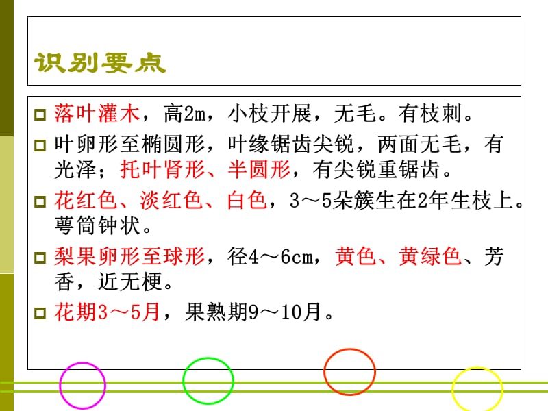 《蔷薇科植物分类》PPT课件.ppt_第3页