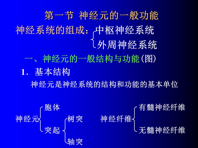 《神经系统功能》PPT课件.ppt_第2页