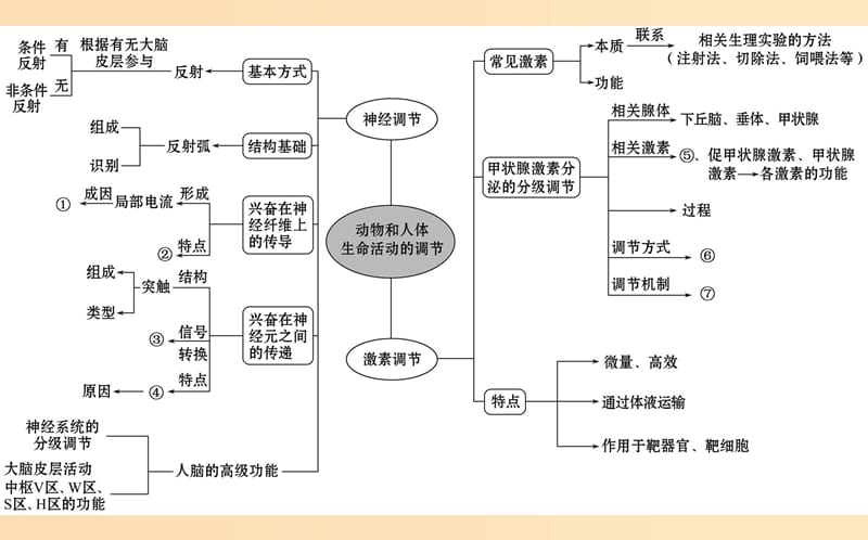 2019版高考生物二轮复习 专题八 动物和人体生命活动的调节课件.ppt_第2页