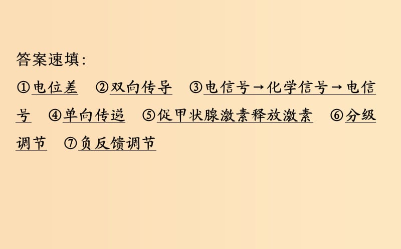 2019版高考生物二轮复习 专题八 动物和人体生命活动的调节课件.ppt_第3页