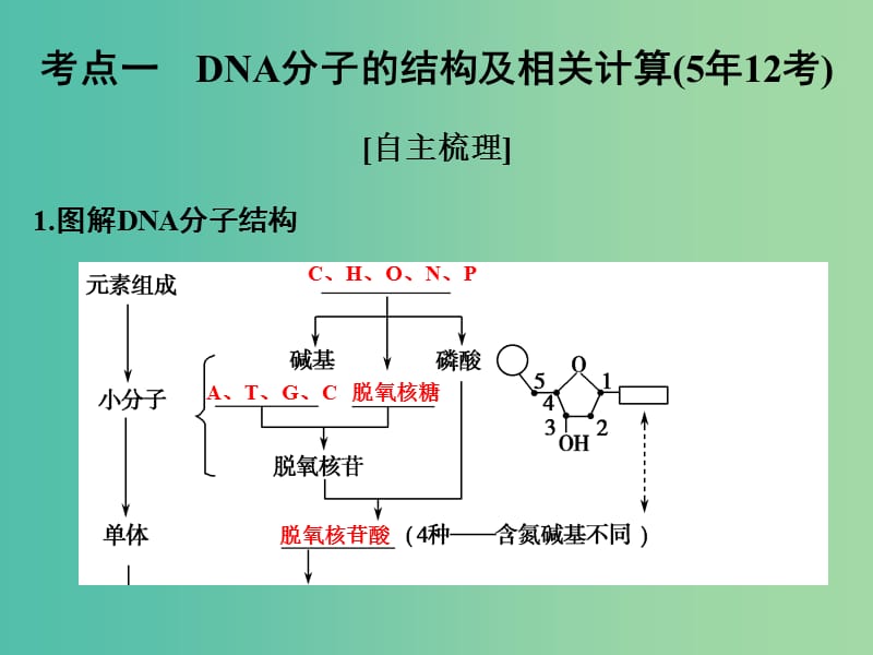 高考生物一轮复习 第6单元 遗传的分子基础 第18讲 DNA的结构、复制及基因的本质课件 新人教版.ppt_第2页