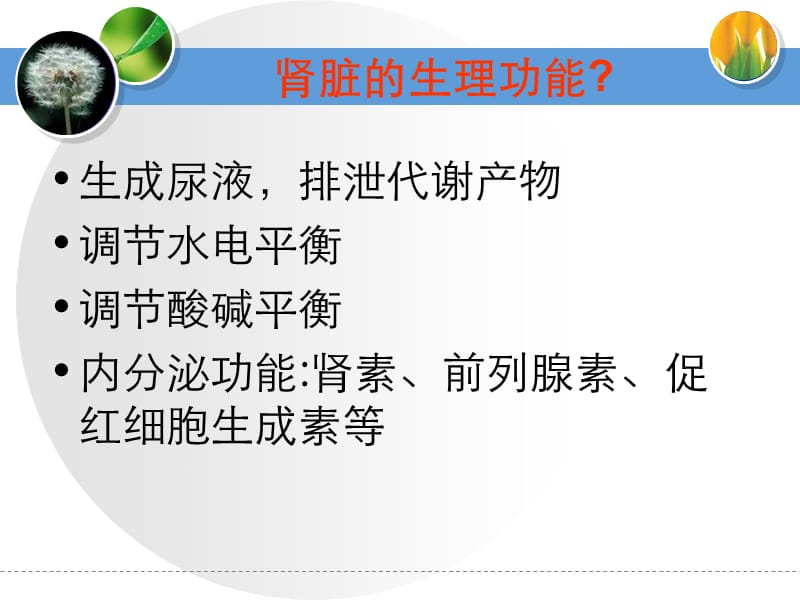 《肾脏替代治疗》PPT课件.ppt_第2页