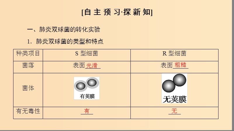 2018-2019高中生物 第4章 遗传的分子基础 第1节 探索遗传物质的过程课件 苏教版必修2.ppt_第3页