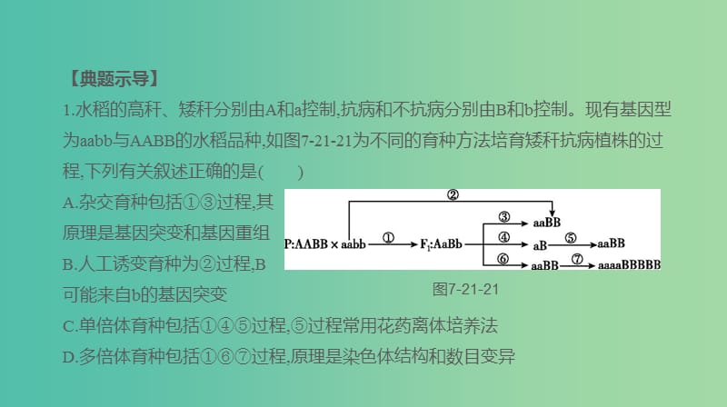 2019届高考生物一轮复习第7单元变异育种与进化拓展微课育种流程图的分析与设计课件.ppt_第3页