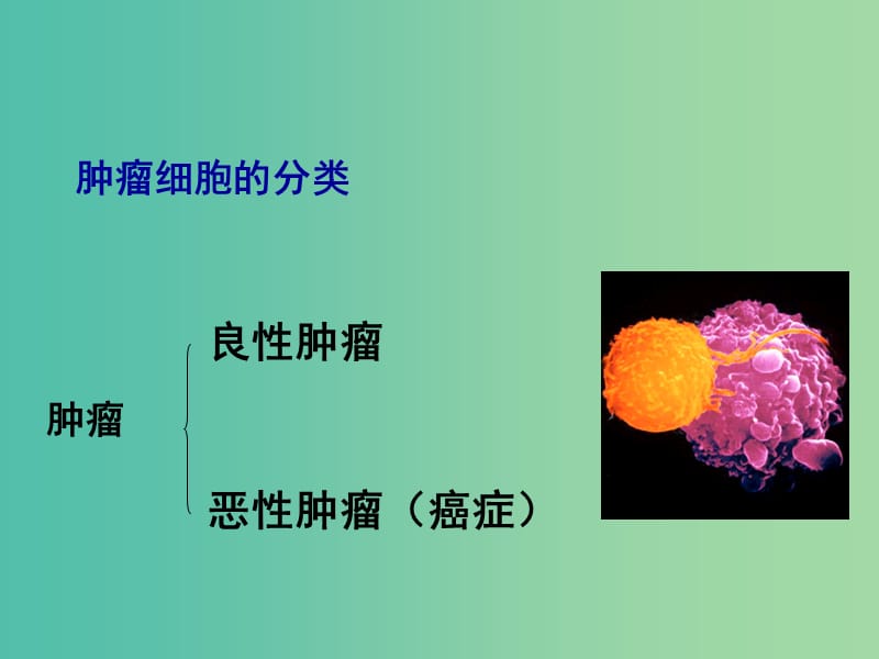 2019高中生物 专题6.4 细胞的癌变同步课件 新人教版必修1.ppt_第2页