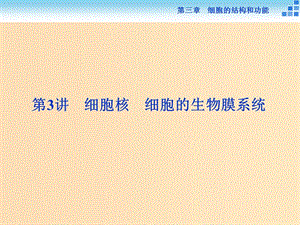 2018-2019學年高中生物 第三章 細胞的結(jié)構(gòu)和功能 第二節(jié) 細胞的類型和結(jié)構(gòu) 第3講 細胞核 細胞的生物膜系統(tǒng)課件 蘇教版必修1.ppt