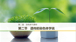 2018-2019學(xué)年高中生物 第二章 染色體與遺傳 第二節(jié) 遺傳的染色體學(xué)說課件 浙科版必修2.ppt