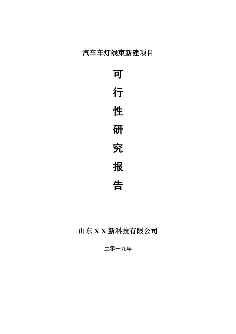 汽车车灯线束新建项目可行性研究报告-可修改备案申请_第1页