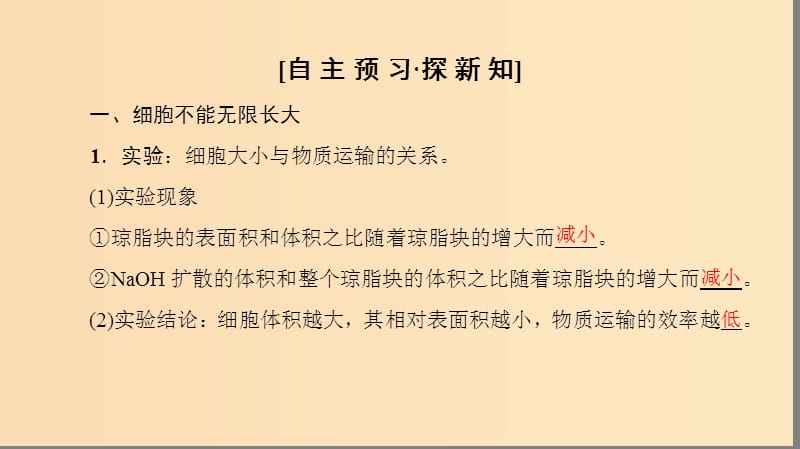 2018-2019学年高中生物 第六章 细胞的生命历程 第1节 第1课时 细胞周期和高等植物细胞的有丝分裂课件 新人教版必修1.ppt_第3页