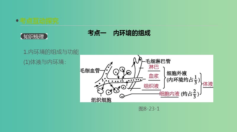 2019届高考生物一轮复习第8单元生命活动的调节第23讲人体的内环境与稳态课件.ppt_第3页