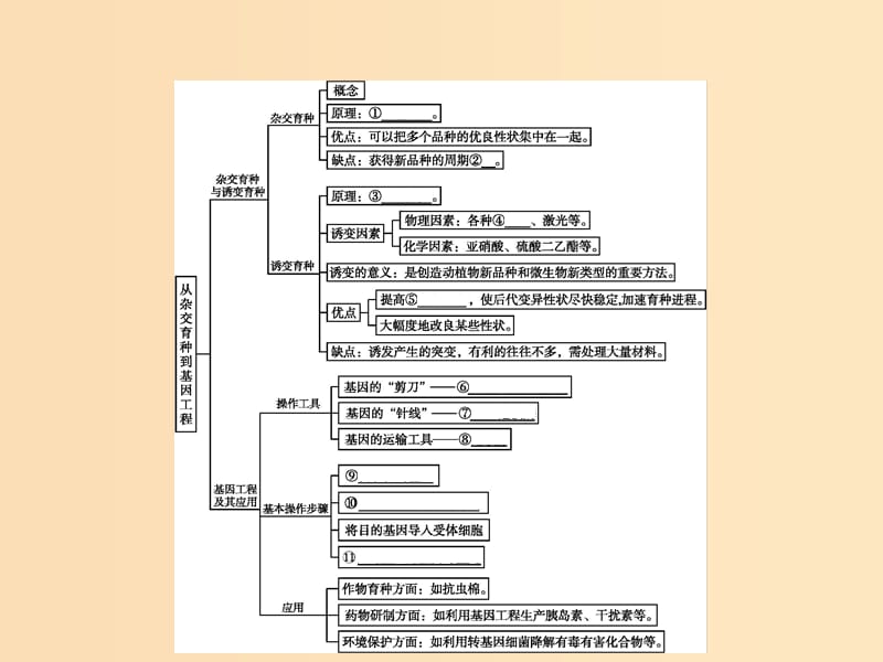 2018年秋高中生物 第6章 从杂交育种到基因工程本章整合课件 新人教版必修2.ppt_第2页