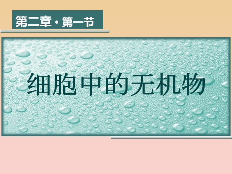 2017-2018學(xué)年高中生物 第二章 細(xì)胞的化學(xué)組成 2.2 細(xì)胞中的生物大分子 細(xì)胞中的無機(jī)物課件 蘇教版必修1.ppt_第1頁