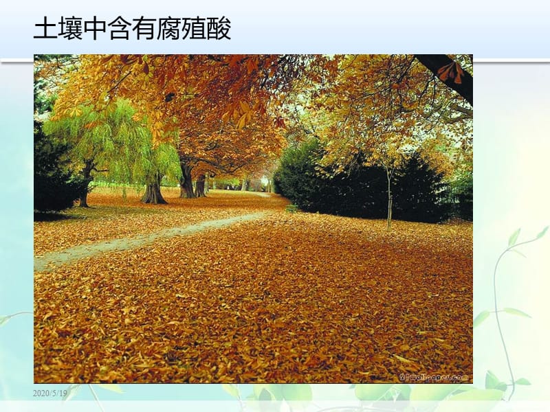 《腐殖酸的介绍》PPT课件.ppt_第2页