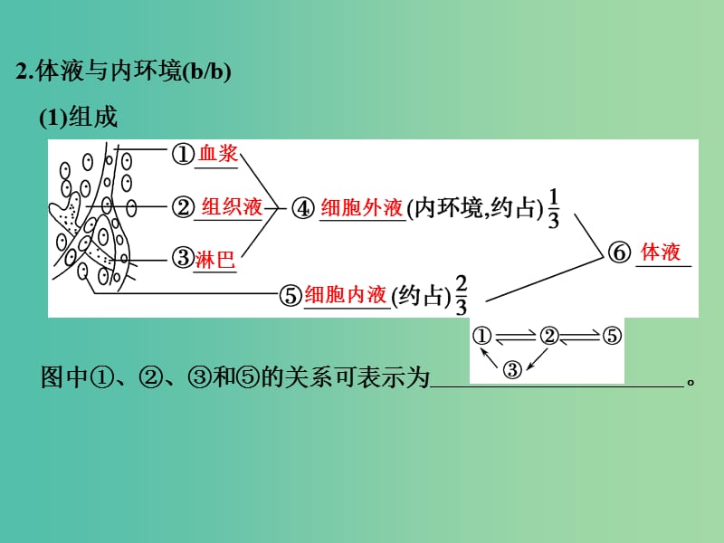 高考生物总复习 第五单元 生命活动的调节与免疫 第17讲 内环境稳态及神经系统的结构与功能课件.ppt_第3页