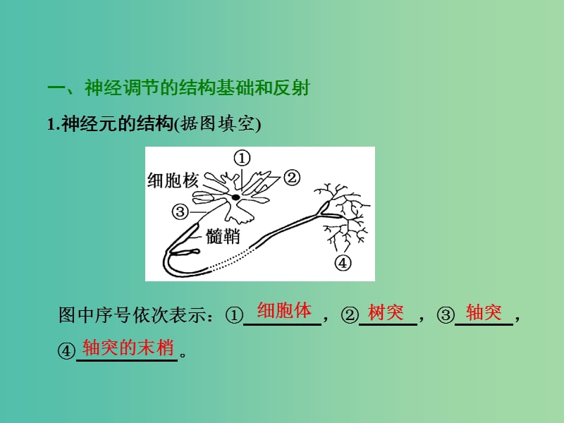 2019年高中生物 第2章 第1节 第1课时 通过神经系统的调节（一）课件 新人教必修3.ppt_第3页