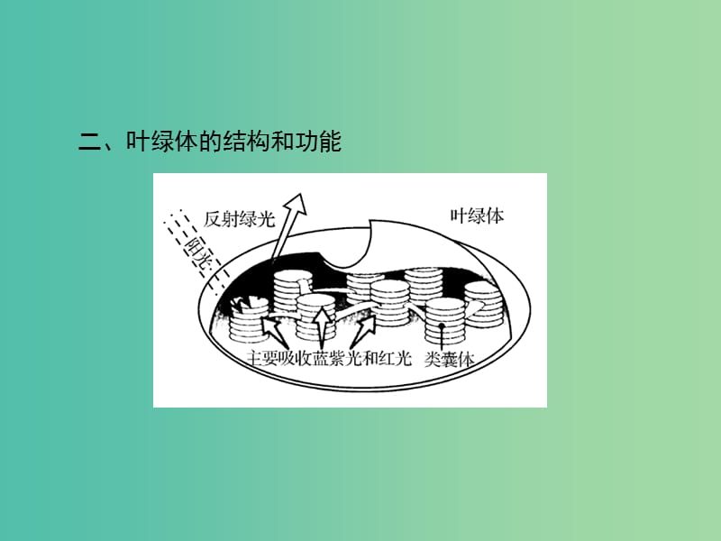 高考生物一轮总复习 第5章 第4节 能量之源 光与光合作用课件（必修1）.ppt_第3页