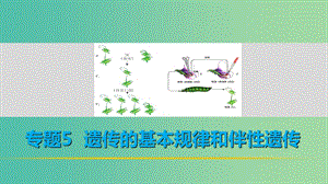 高考生物二輪復習 考前三個月 專題5 遺傳的基本規(guī)律和伴性遺傳 考點16 聚焦遺傳實驗的設(shè)計與分析課件.ppt