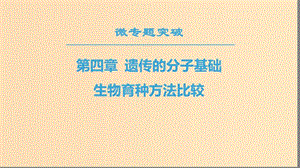 2018-2019高中生物 第4章 遺傳的分子基礎(chǔ) 微專題突破 生物育種方法比較課件 蘇教版必修2.ppt