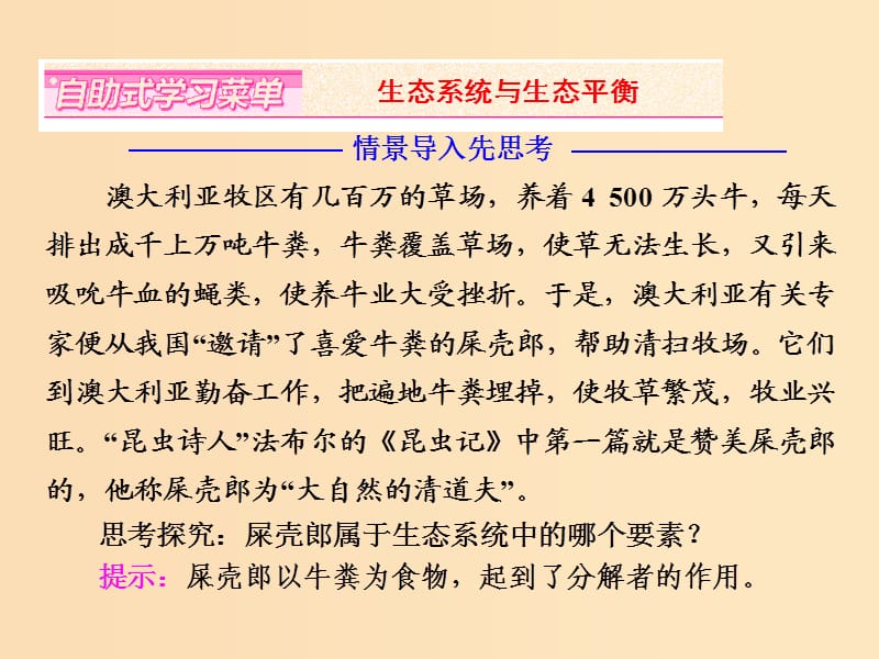 2018-2019学年高中地理 第三章 生态环境问题与生态环境保护 第一节 生态系统与生态平衡课件 湘教版选修6.ppt_第2页